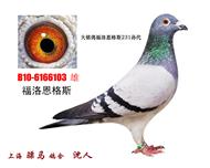 骠马6103