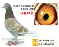 骠马1732