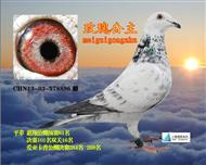 荣安家族玫瑰公主