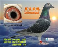 莱宝玫瑰(仅供欣赏）