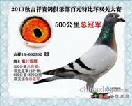 特比单关冠军双关亚军