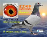 宏宝将军(转南昌）