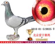 上海肖氏父子穆利门