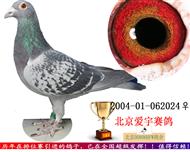 上海肖氏父子詹森