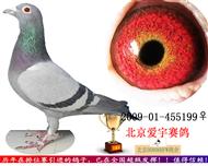 史多西斯﹠桑杰士