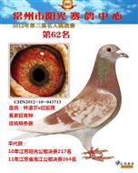 12年阳光公棚决赛62名