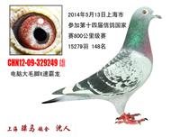骠马9249