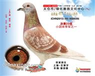 2014太仓公棚23名