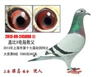 骠马5088