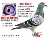 骠马女汉子
