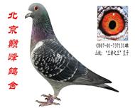 【“王者之王”直子】