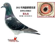 罗杰.富雷卡四關綜合大獎賽九名