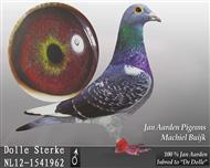 杨阿腾-多利  （已售）