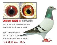 骠马9218