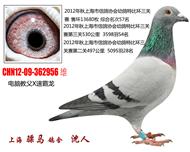 骠马2956