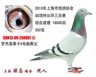 骠马0907