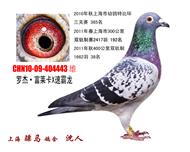 骠马4443