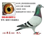 骠马0727