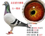 北京市1500km第57名