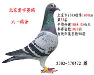 北京市2003秋季1000km35名