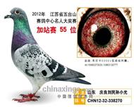 江苏南京五台山公棚55名