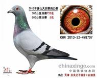 河北唐山天羽公棚5名