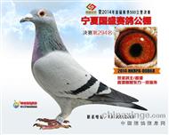 甯廈國盛公棚2014年決賽294名