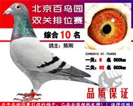 百鸟园10名双关