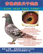 齐鲁兆佳决赛32名