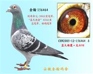 凡龙156464（已退役）