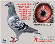 荣安家族卡普22名（已拍出）