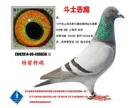 斗士恶魔  已转