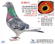 320元特比环两关综合35名