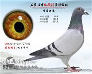 荣安家族将军10名