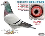 东方不败桑杰士回血[售出]