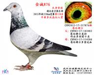 550km138名麒麟花