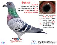 金楚公棚550km57名