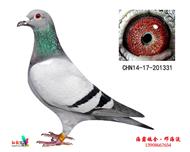 冠军+5名(天津已定)