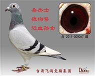 桑杰士狼狗号近血