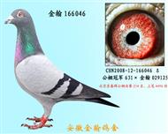 勃默德166046