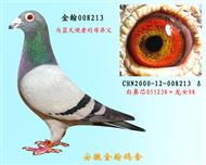 勃默德008213（已退役）