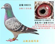 勃默德配詹森邦德007   008231