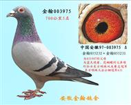 勃默德003975（已退役）