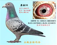 詹森98(已退役）