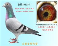 勃默德202316（已退役）
