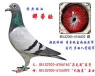 娜蒂娅