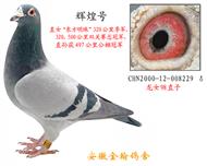 勃默德 辉煌号 已售