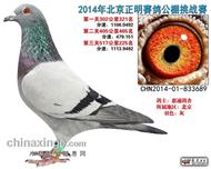 东方不败桑杰士回血