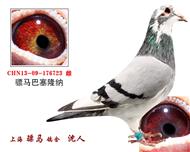 骠马6723