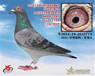 【渦輪吉星】欣洋7名！